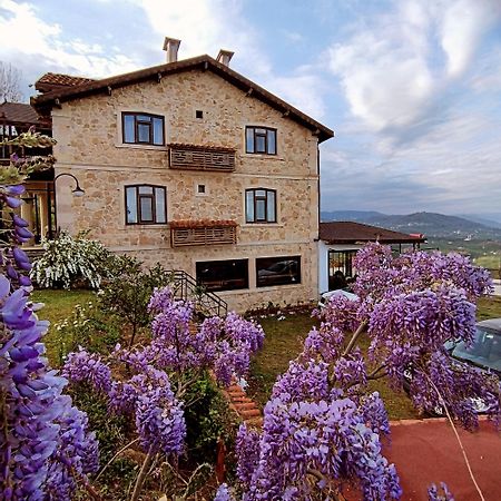 Hayat Oksijen Resort AltınAltınordu Exterior foto